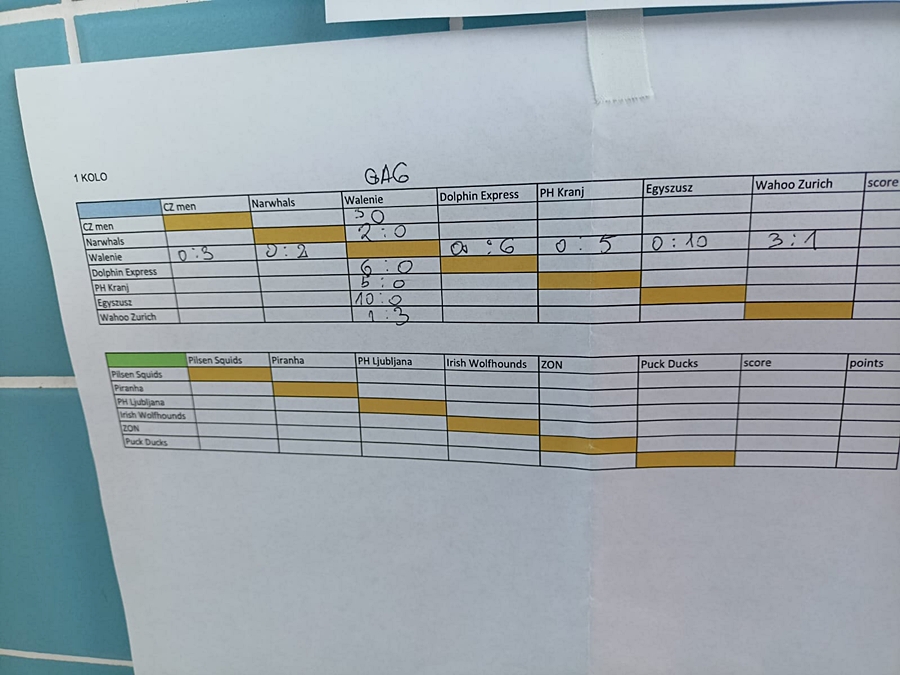 Hokej pod wodą Walenie Czeskie Budziejowice Bud Pig Cup 2025